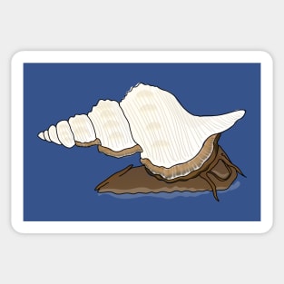 Conch shell (sea snail) Sticker